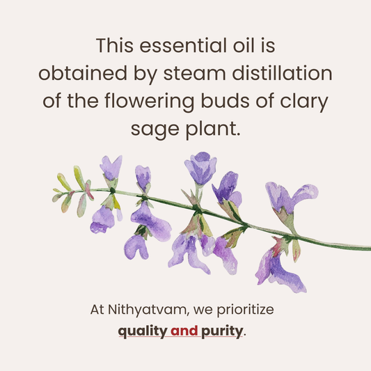 Clary Sage Essential Oil