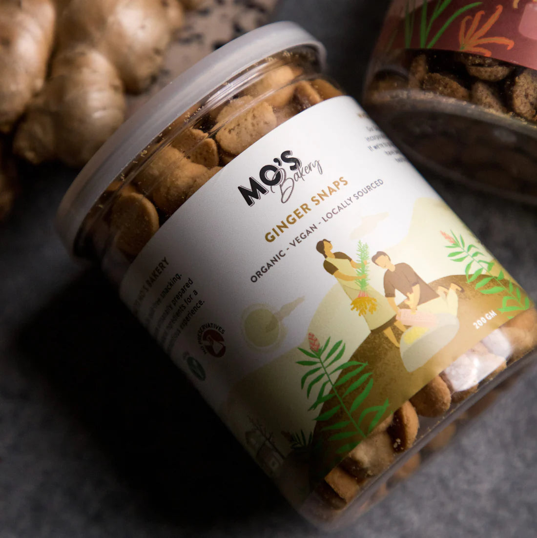 Ginger Snaps | Vegan Snack