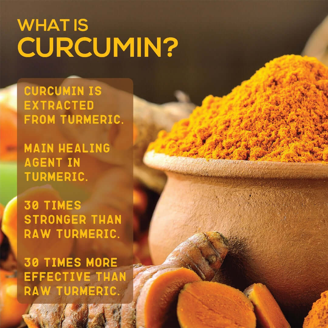 Premium Curcumin Powder