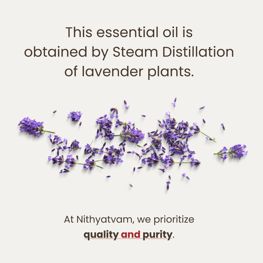 Indian Lavender Essential Oil