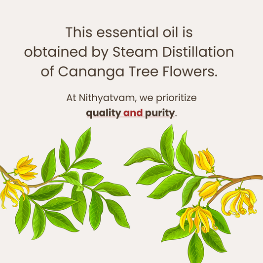 Ylang Ylang Essential Oil