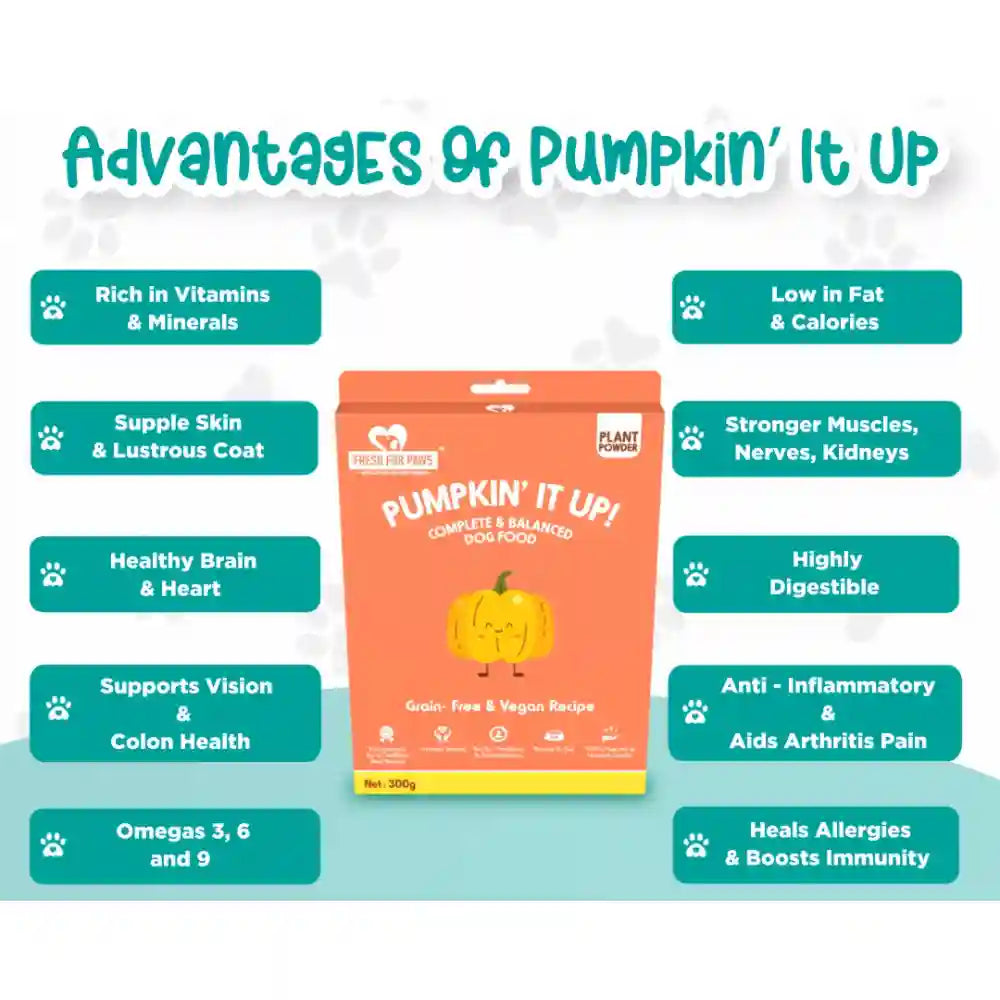 Pumpkin' It Up | Grain-Free Vegan Dog Food | Supports Skin, Coat, Immunity & Digestion