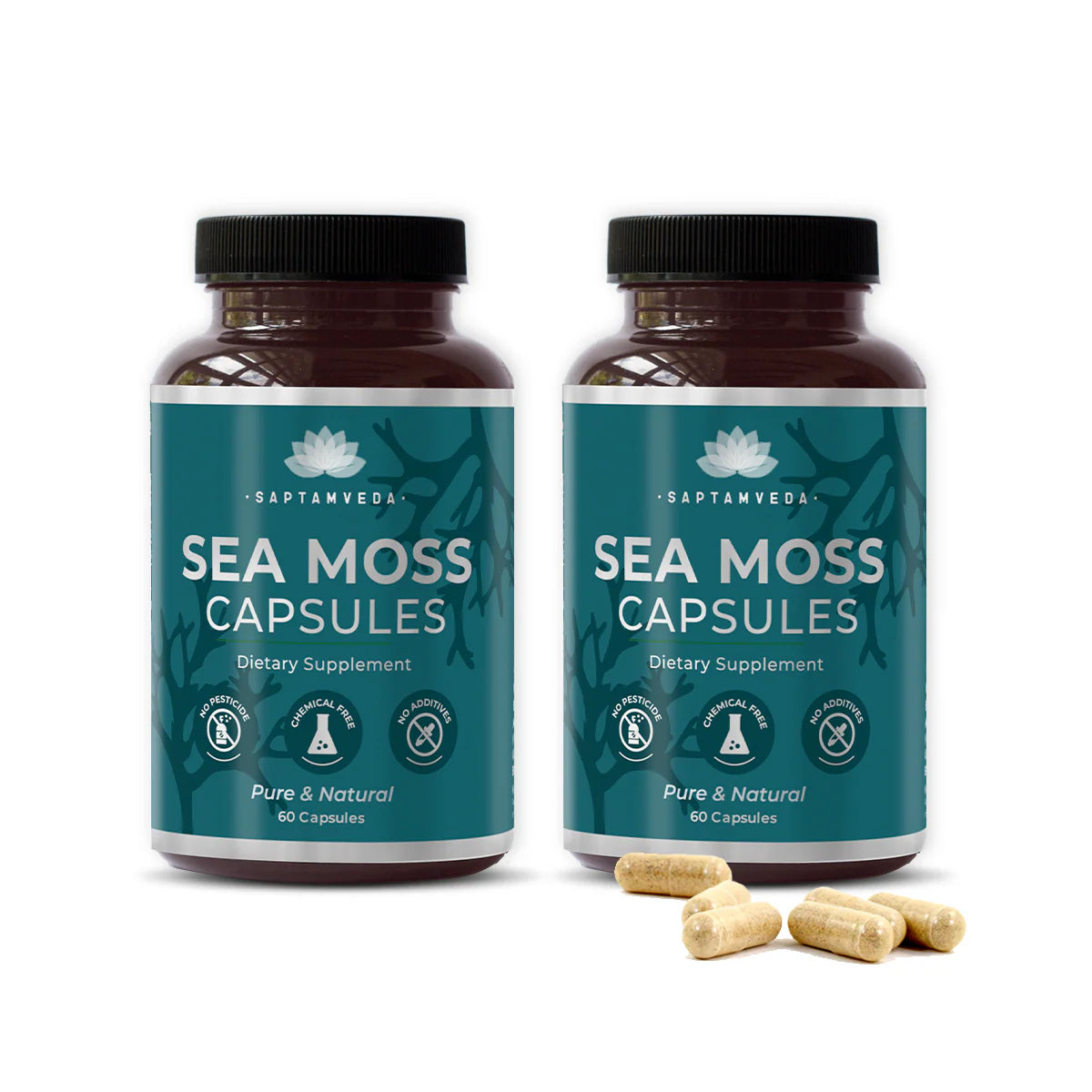 Irish Sea Moss Capsules | Immunity & Detox | Vegan