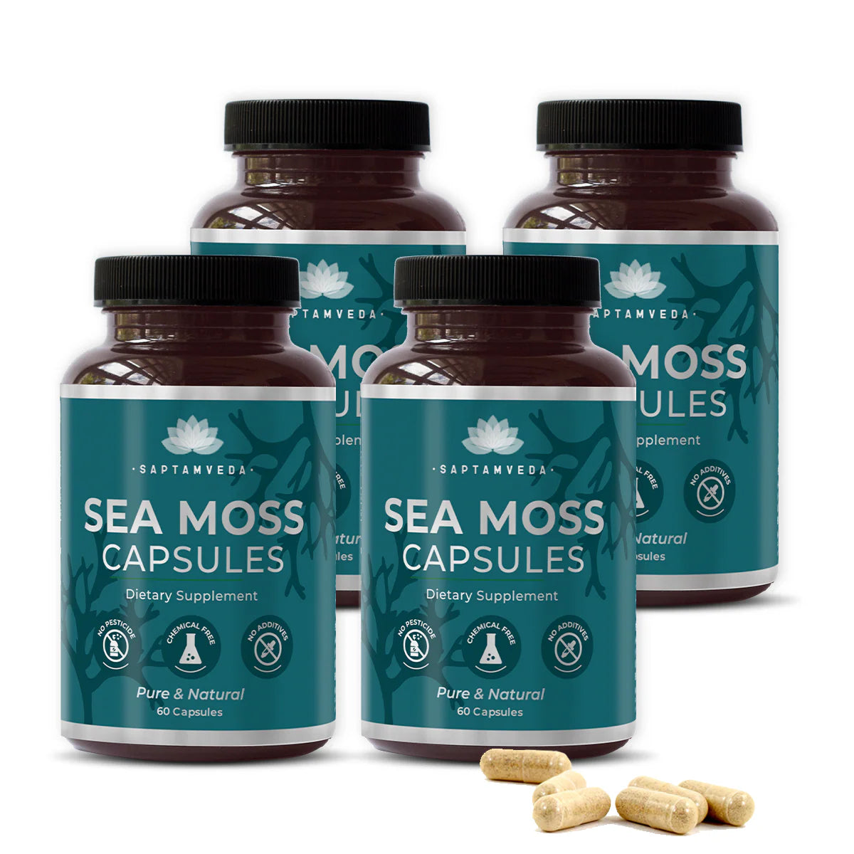 Irish Sea Moss Capsules | Immunity & Detox | Vegan