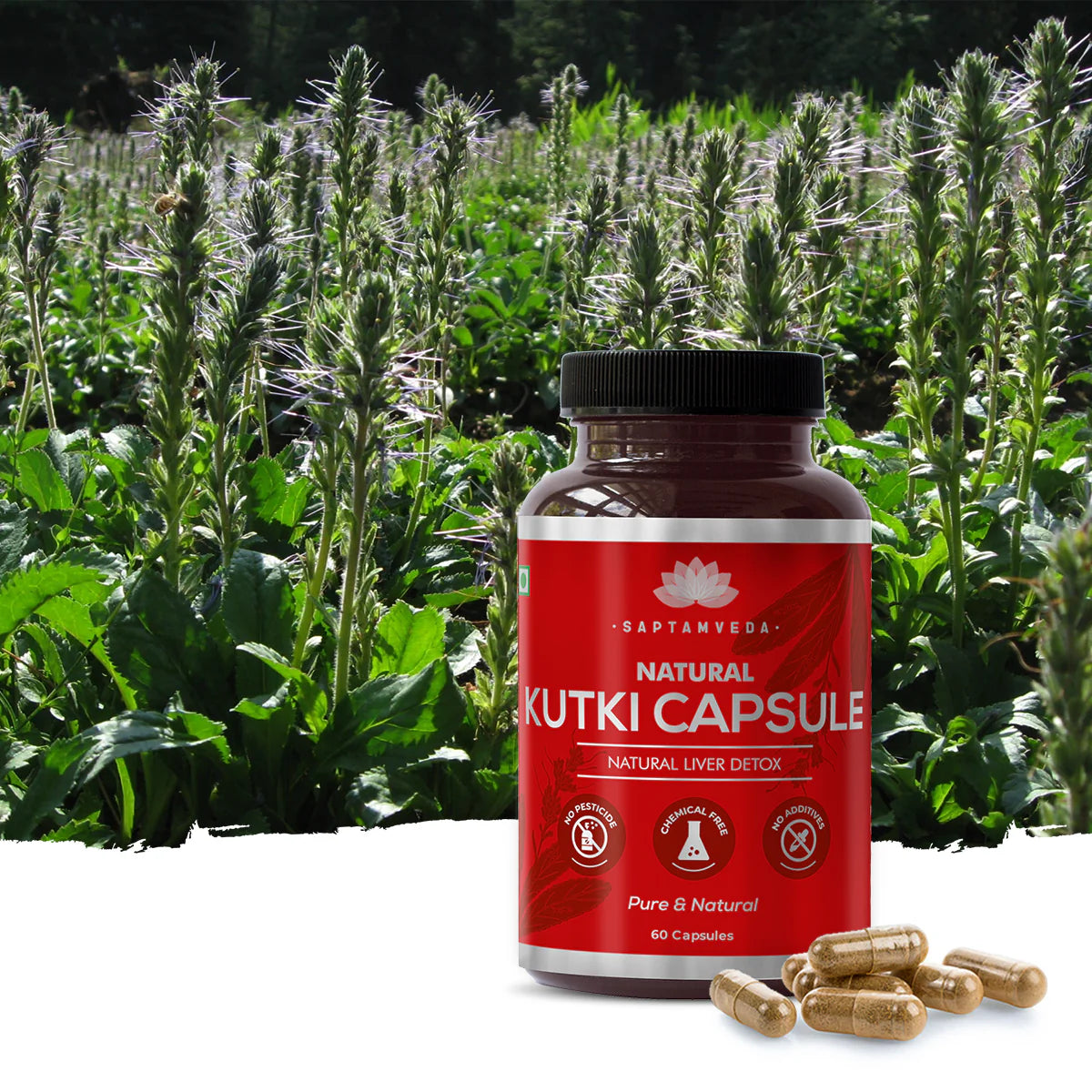 Natural Kutki Capsules | Liver & Gut Detox
